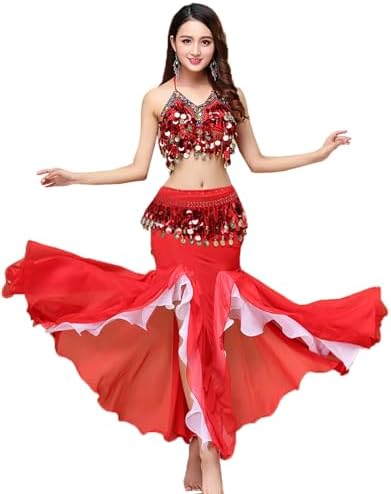Amazon.com: Belly Dance Dress Belly Dance Costume Dancer Costumes